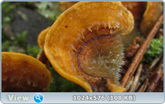 0_12aba1_6d8710ef_orig.png