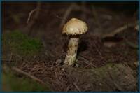 0_d4aa3_d59a9ff3_orig.jpg