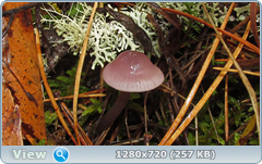 0_f27c2_c6cd1470_orig.png