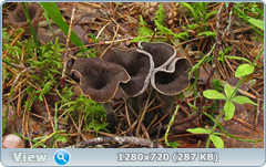 0_10ddd0_66268421_orig.png