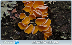 0_128ff6_91f5699_orig.png