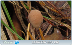 0_10dfa8_39582e7d_orig.png