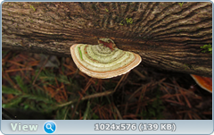 0_1276ea_dd0e5615_orig.png
