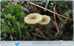 0_127f23_3a685063_orig.png