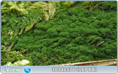 0_127f2d_2c95af80_orig.png