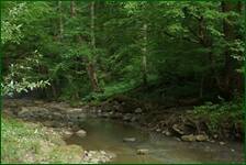 0_f6ab7_cee6351_orig.jpg
