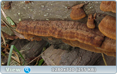 0_114fef_227e1d5b_orig.png
