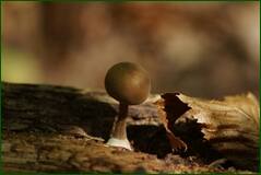 0_ff87a_f356ba61_orig.jpg