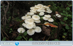 0_12afb2_1b783d05_orig.png