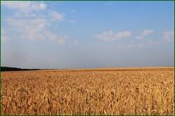 0_12854c_a29361f0_orig.jpg