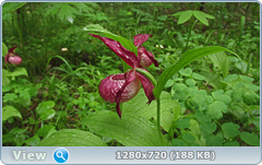 0_1086dc_b550666_orig.png