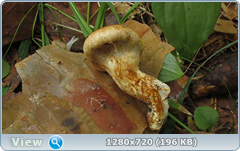 0_10b2c0_96307870_orig.png