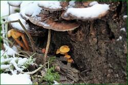 0_152749_a517dd44_orig.jpg