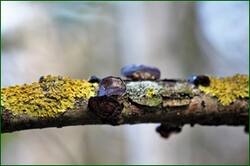 0_152758_5f95d9ac_orig.jpg
