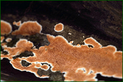 0_104d56_47eb1228_orig.png