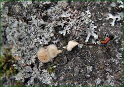 0_157071_7c889ece_orig.jpg