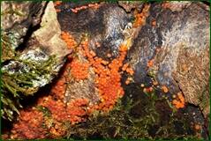 0_100b8b_1a244751_orig.jpg