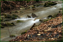 0_104fcf_77143d6b_orig.png
