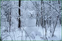 0_155f6e_e79d818f_orig.jpg