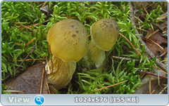 0_12bf09_a7b21bec_orig.png