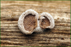 0_104f13_f086ab09_orig.png