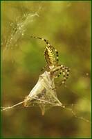 0_fdd8a_b675c067_orig.jpg