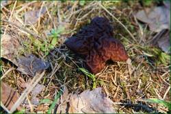 0_11f06e_59c4a255_orig.jpg