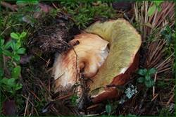 0_129250_d0e3fc24_orig.jpg