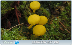 0_1054ec_4caeae3c_orig.png