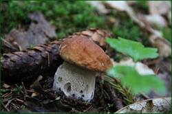0_1282e3_5c62032c_orig.jpg