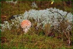 0_129232_364022e3_orig.jpg