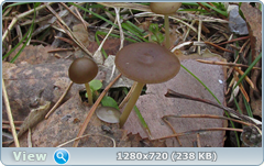 0_104169_51cc7024_orig.png