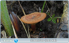 0_106139_4cac9441_orig.png