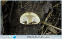 0_106168_4a3a8870_orig.png