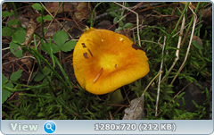 0_10b568_6b34d9ca_orig.png