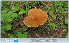 0_10b574_26cdea0b_orig.png