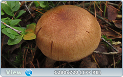 0_10b588_374ce1bd_orig.png