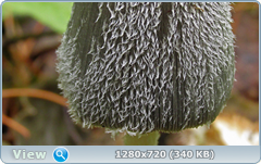 0_e6a2c_e7c005b8_orig.png