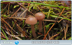 0_f5644_2aee35fc_orig.png