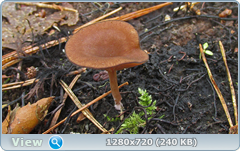 0_e9b09_1bf64800_orig.png