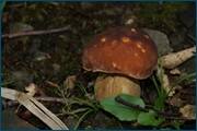 0_d2af8_a2bd901d_orig.jpg