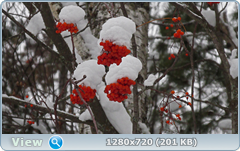 0_fb5a5_cf5abdf3_orig.png