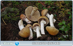 0_eb202_11269a4c_orig.png