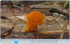 0_f6e00_2d257692_orig.png