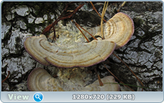 0_fc565_2c98dfff_orig.png