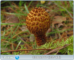 0_eb05c_bef89d79_orig.png