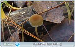 0_f303d_b523ce34_orig.png