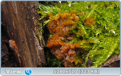 0_fc660_644860ce_orig.png