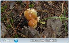 0_109640_ab8992ed_orig.png