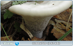 0_10b244_4e086228_orig.png